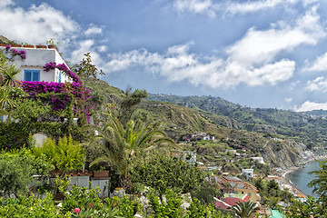 Image showing View of Maronti beach in Ischia Island