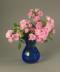 Image showing Mossroses