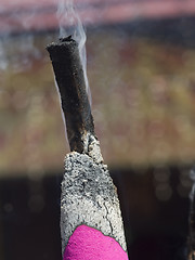 Image showing Giant joss stick