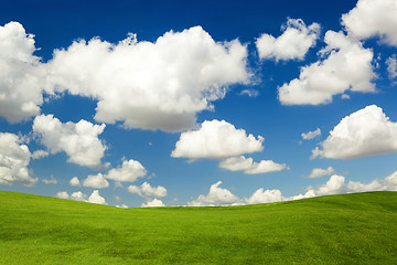 Image showing Beautiful green meadow