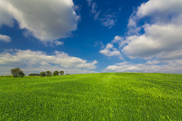 Image showing Beautiful green landscape