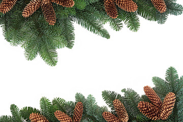 Image showing Fir and Pine Cone Border