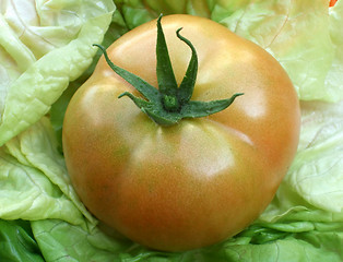 Image showing Fresh tomato with lettuce