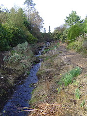 Image showing Little Creek