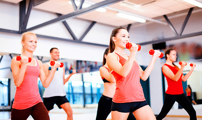 Image showing group of smiling people working out with dumbbells