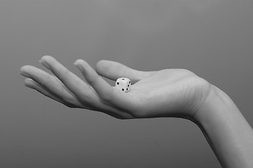 Image showing dice in hand