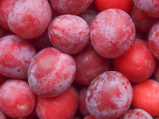 Image showing Prunes