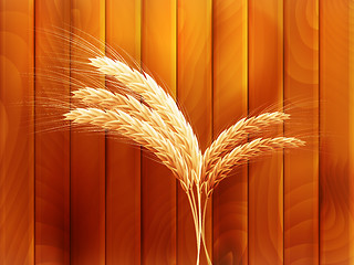 Image showing Wheat on wooden autumn background. EPS 10