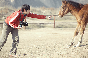 Image showing Animal photographer