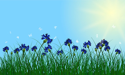 Image showing Clovers on summer background