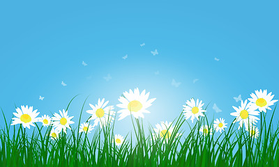 Image showing Meadow color background