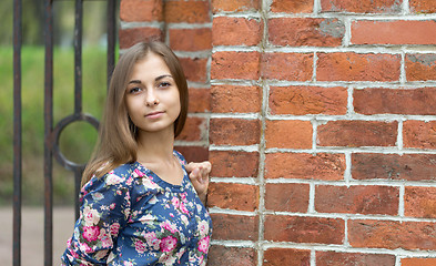 Image showing portrait of a beautiful young girl