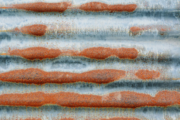 Image showing Rusted corrugated iron sheet 