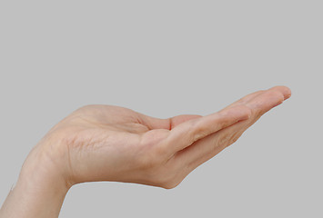 Image showing White hand on perfect gray background