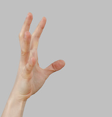 Image showing White hand on perfect gray background