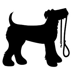 Image showing AIredale Terrier Leash