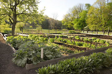 Image showing Rural Garden