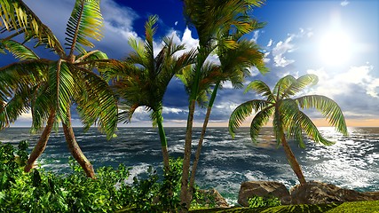 Image showing Paradise on Hawaii Island