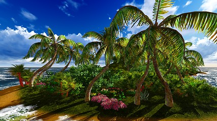 Image showing Paradise on Hawaii Island