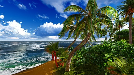 Image showing Paradise on Hawaii Island