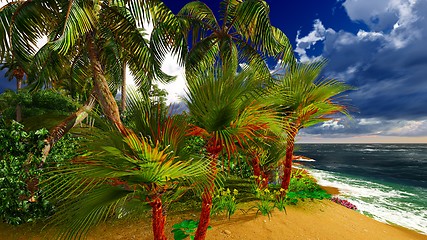 Image showing Paradise on Hawaii Island