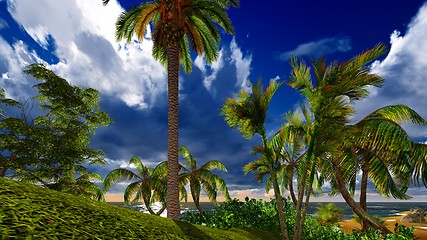 Image showing Paradise on Hawaii Island