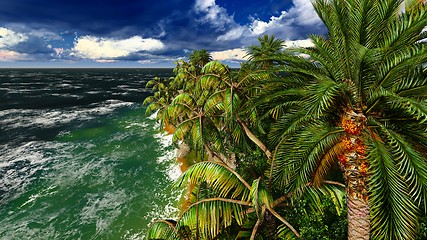 Image showing Paradise on Hawaii Island