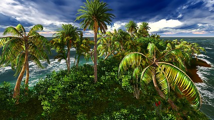 Image showing Paradise on Hawaii Island