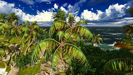 Image showing Paradise on Hawaii Island