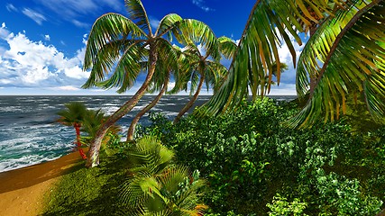 Image showing Paradise on Hawaii Island