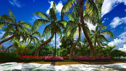 Image showing Paradise on Hawaii Island