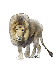 Image showing Watercolor Image Of  Walking Lion