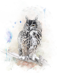Image showing Watercolor Image Of  Owl