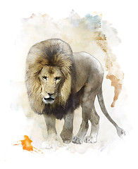 Image showing Watercolor Image Of  Walking Lion