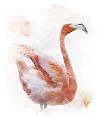 Image showing Watercolor Image Of  Flamingo Bird