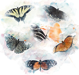 Image showing Watercolor Image Of  Butterflies