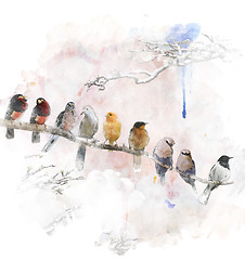 Image showing Watercolor Image Of Perching Birds