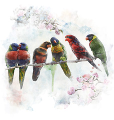 Image showing Watercolor Image Of  Colorful Parrots