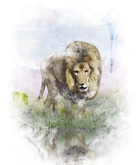 Image showing Watercolor Image Of   Lion