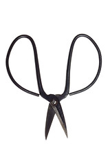 Image showing Old scissors


