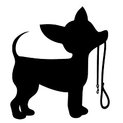 Image showing Chihuahua Leash