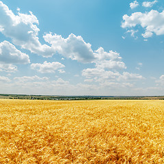 Image showing field with golden harvest and clouds in sky
