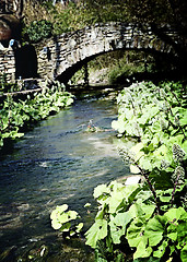 Image showing Rock bridge