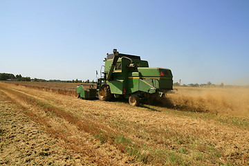 Image showing Wheat harvest