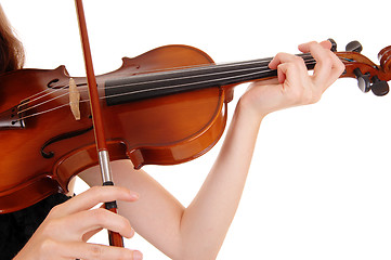 Image showing Closeup of violin playing.