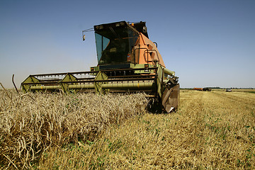 Image showing Harvest time