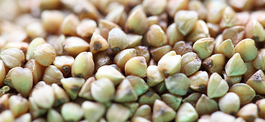 Image showing buckwheat