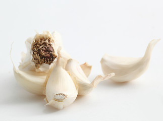 Image showing garlic