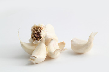 Image showing garlic