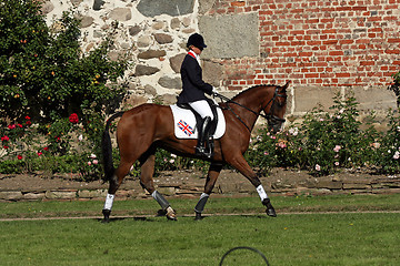 Image showing horse competition